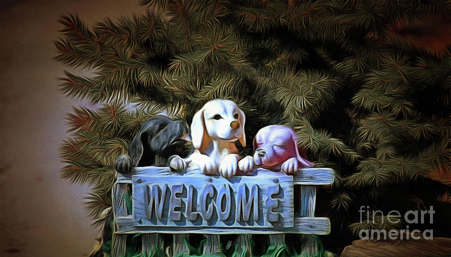 A Dogs Welcome Photograph by Elaine Manley