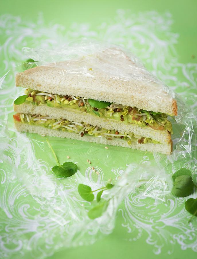 A Double-decker Sandwich With Avocado And Bean Sprouts Photograph by ...