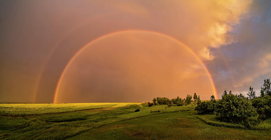 A Double Rainbow Over A Ripening Canola Photograph by Alan Dyer