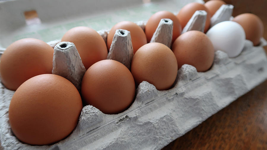 A Dozen Good Eggs Photograph