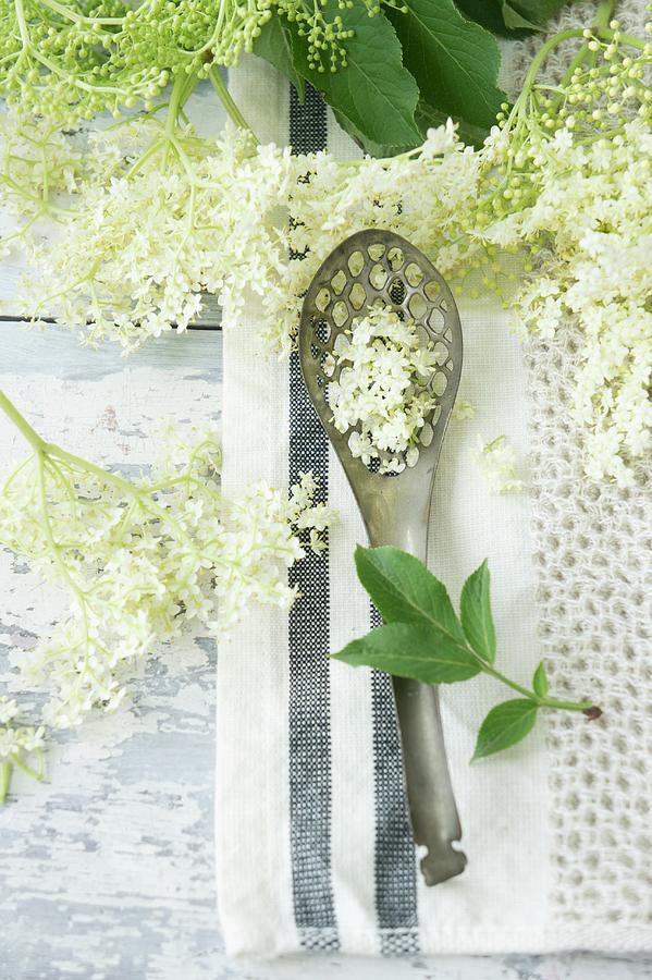 A Draining Spoon And Elderflowers Photograph by Martina Schindler