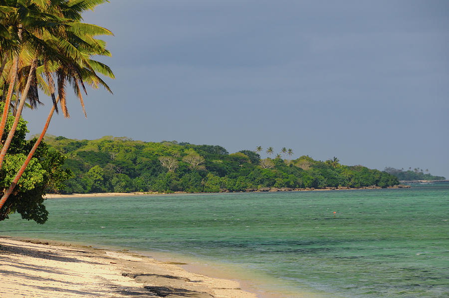 A Dream Beach With Palm Trees And Lush Vegetation, Yanuca Island, Fiji ...