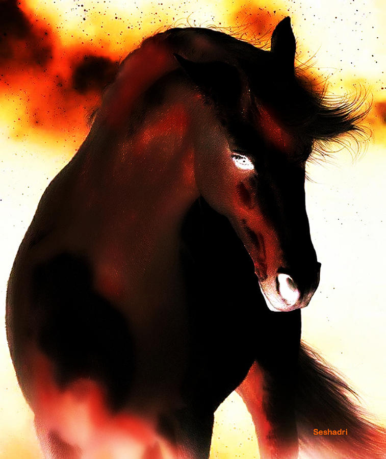 A Dream Horse Painting by Seshadri Sreenivasan Fine Art America