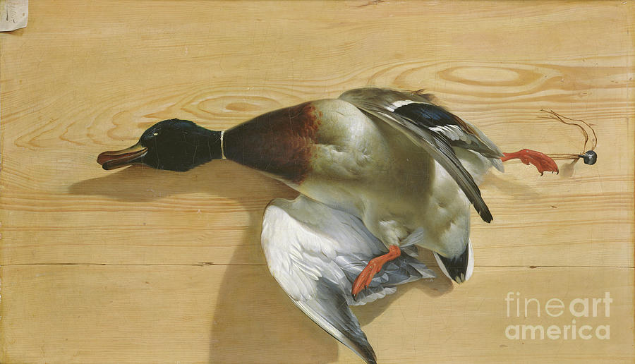 A Duck On A Pine Board, 1753 Painting by Jean Jacques Bachelier