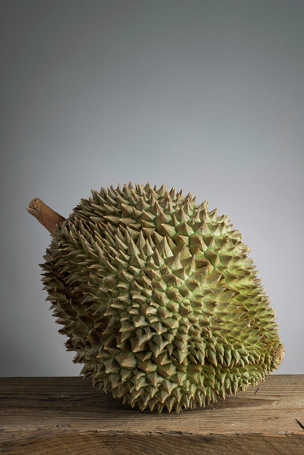 A Durian Fruit In Front Of A Grey Background Photograph by Laurange