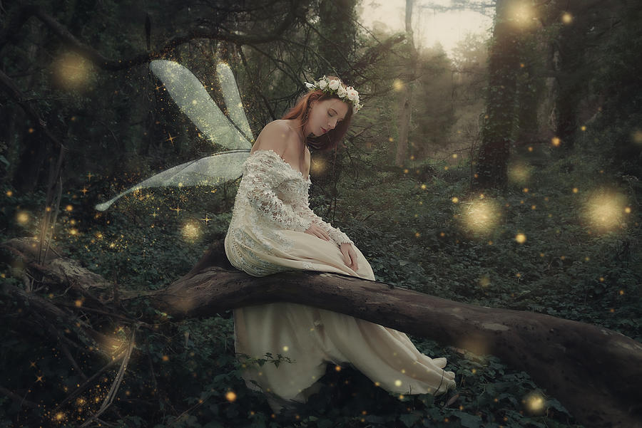 A Fairy\s Wish Photograph by Kiki Yuan