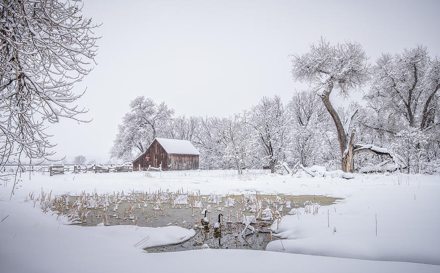 Winter Photograph - A Fairytale by Lior Yaakobi