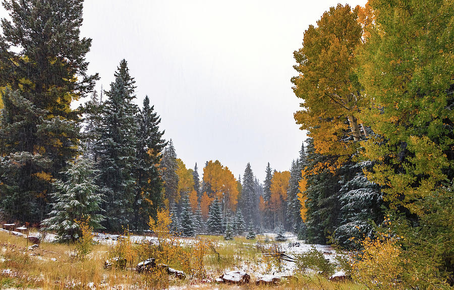 A Fall Dusting by Rick Furmanek A Fall Dusting by Rick Furmanek