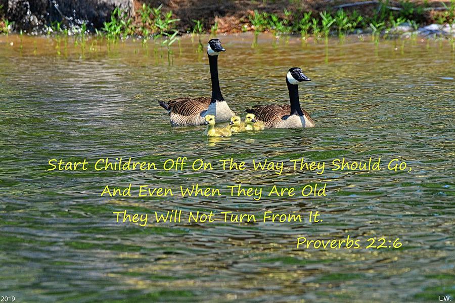 A Family Of Geese Proverbs 22 6 Photograph by Lisa Wooten