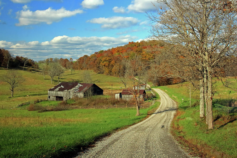 A Farm on an Autumn Day by Angela Murdock A Farm on an Autumn Day by Angela Murdock