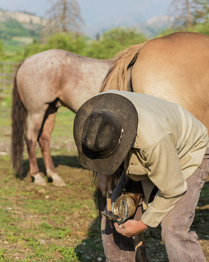 a-farrier-at-work-photograph-by-photos-by-kmw-fine-art-america