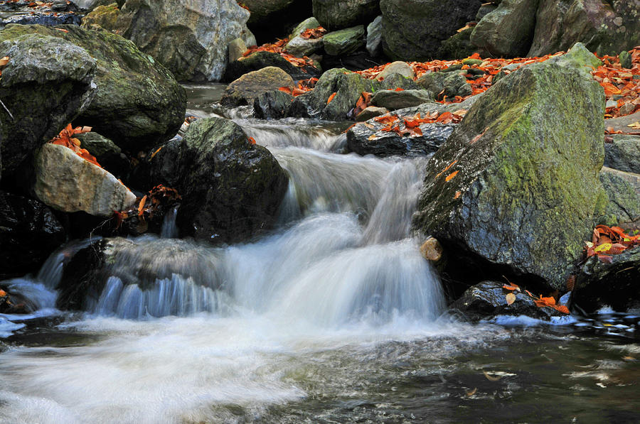 A Fast Flow Photograph by Mike Martin - Fine Art America