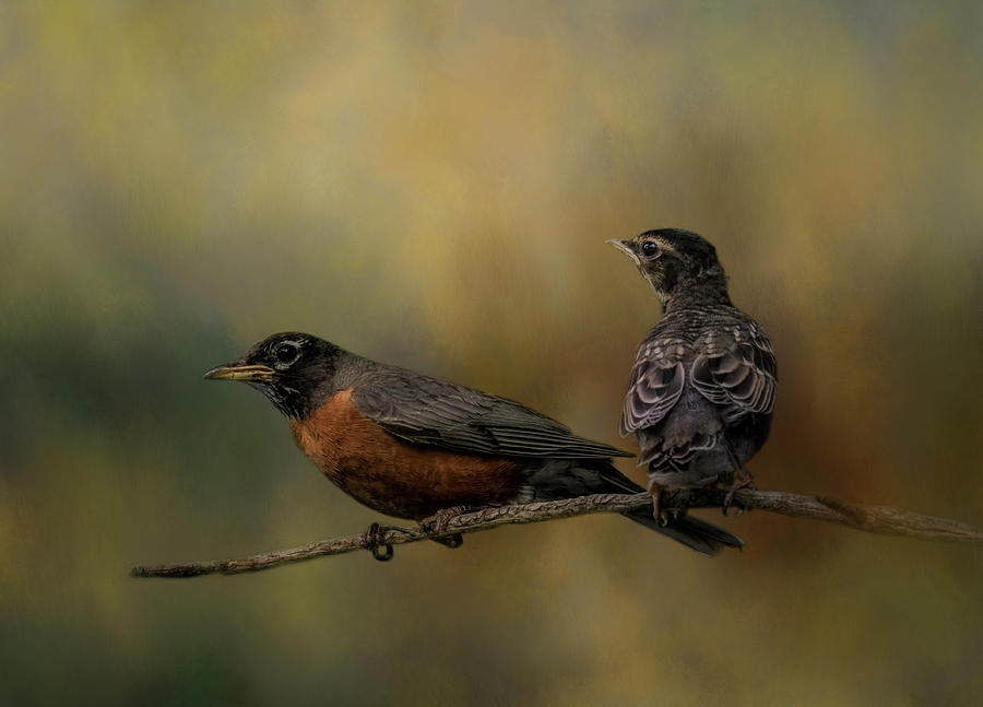 A Fathers Watchful Eye by Kelley Parker A Fathers Watchful Eye by Kelley Parker