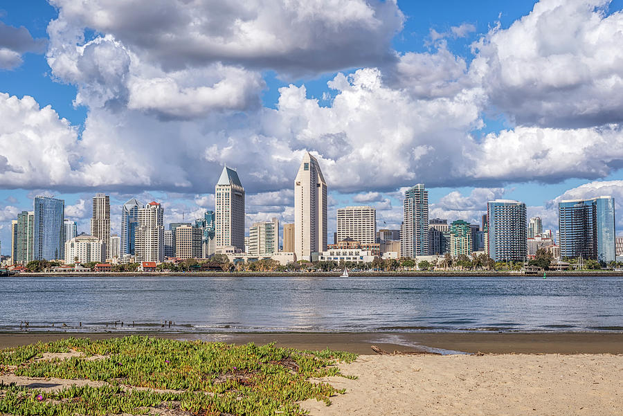 San Diego Photograph - A February Afternoon by Joseph S Giacalone