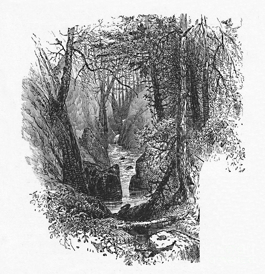 A Feeder To The Lake Drawing by Print Collector