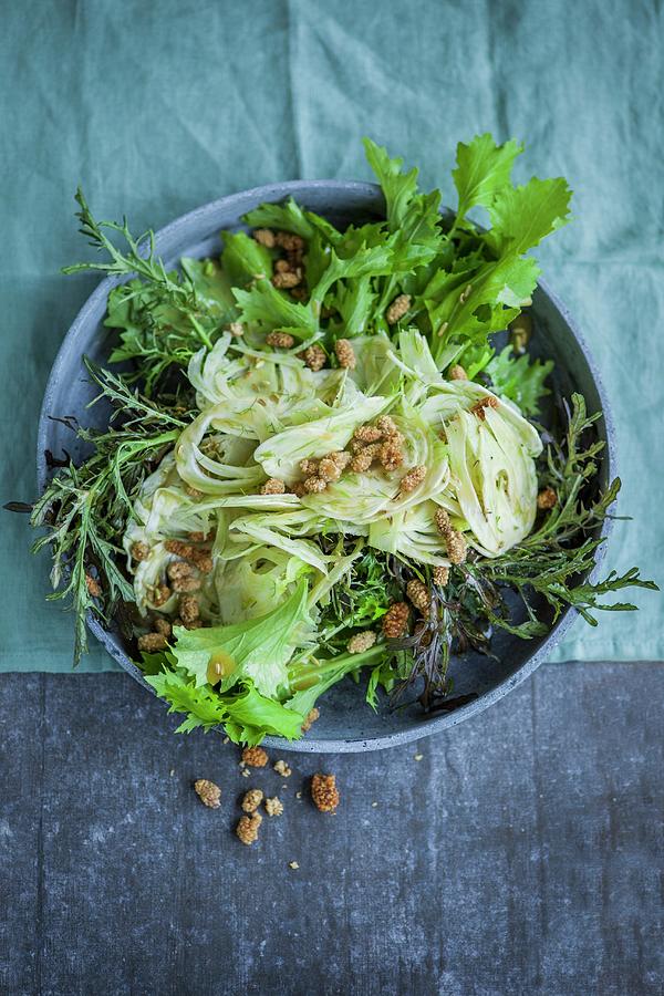 A Fennel And Mizuna Salad With Dried White Mulberries superfood Photograph by Eising Studio