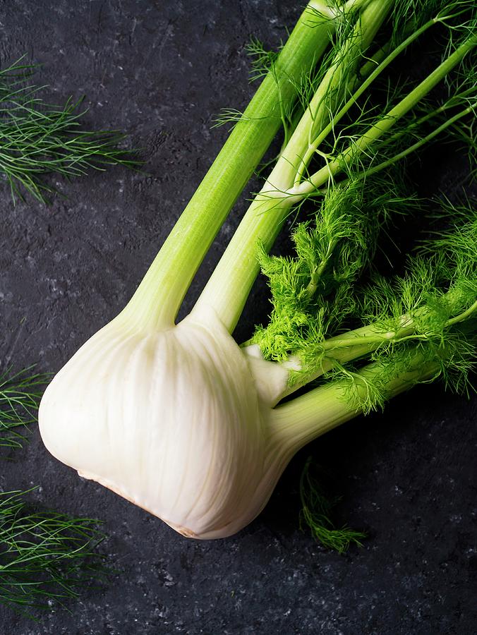 A Fennel Bulb With Leaves Photograph by Christine Siracusa