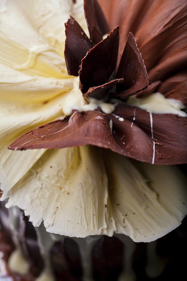 A Festive Chocolate Cake With A Chocolate Fan detail Photograph by Artfeeder