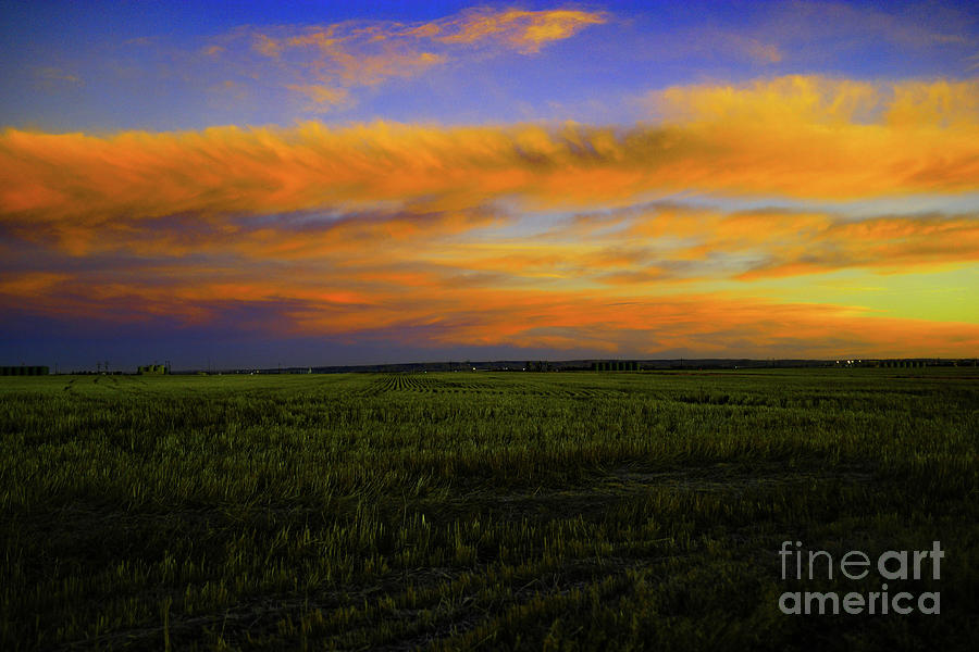 A field at dusk Photograph by Jeff Swan - Fine Art America