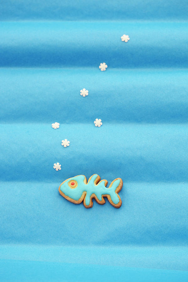 A Fish Shaped Biscuit With Blue Icing Against A Blue Background Photograph by Werner / S. Brigitte