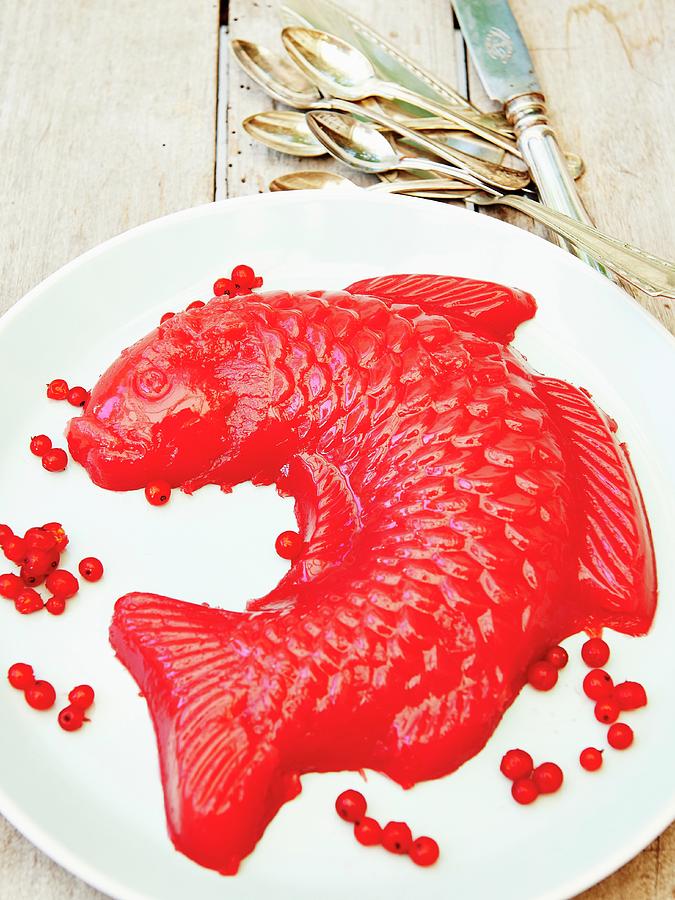A Fish-shaped Redcurrant Jelly Photograph by Hannah Kompanik