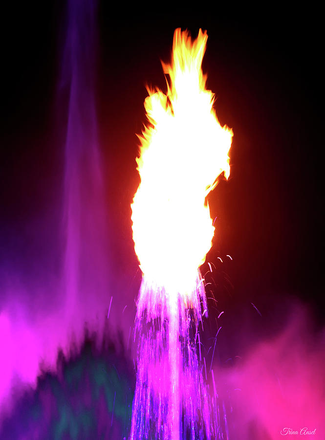 A Flaming Fountain in Pink Photograph by Trina Ansel