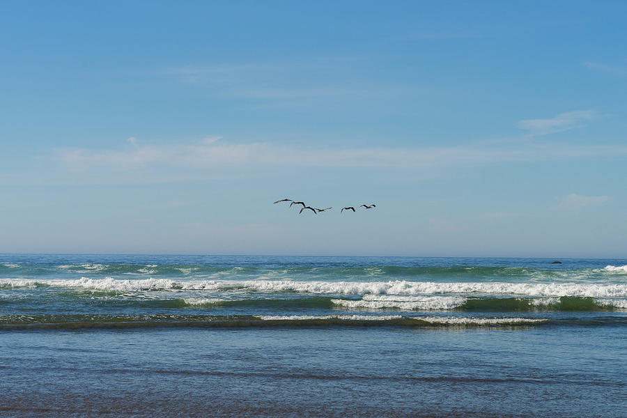 A Flock Of Seagulls Flies Over The Water Of The Pacific Ocean In Cannon Beach, Oregon, Usa. Photograph