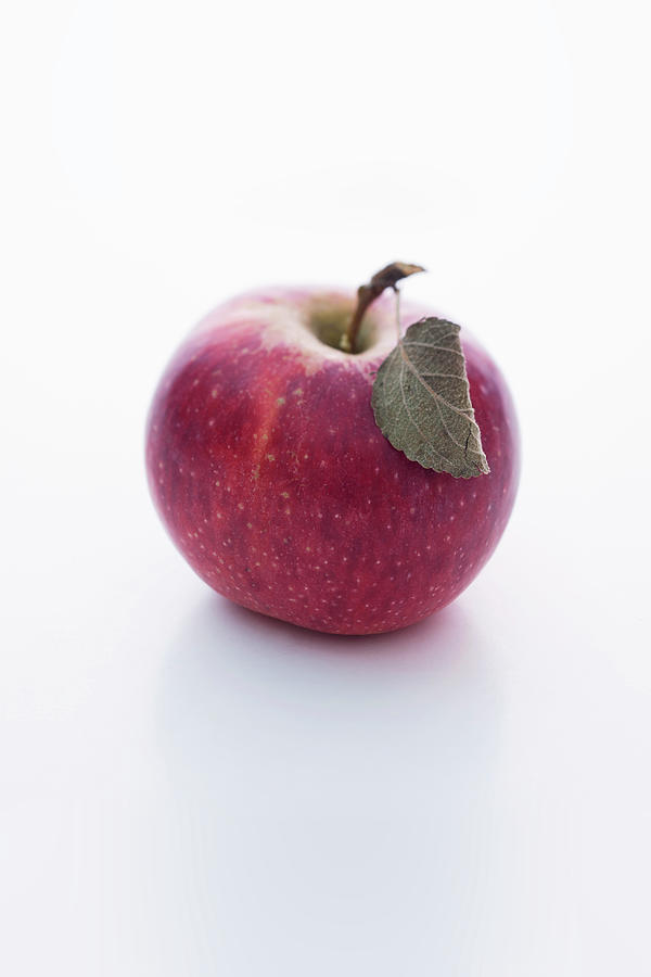 A Florina Apple Photograph by Michael Wissing - Fine Art America