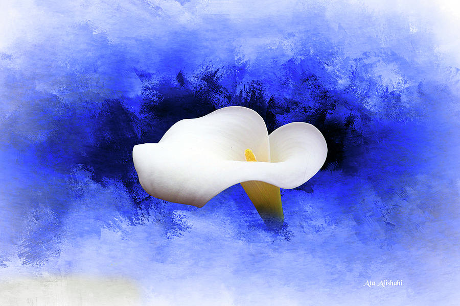 Flower Mixed Media - A Flower by Ata Alishahi