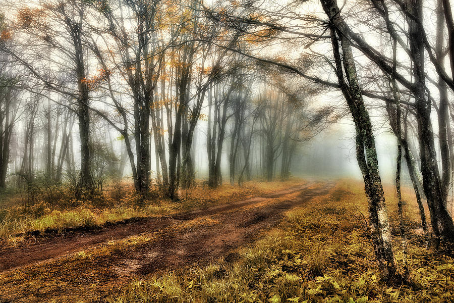A Foggy Autumn Blue Ridge Morning Photograph by Dan Carmichael