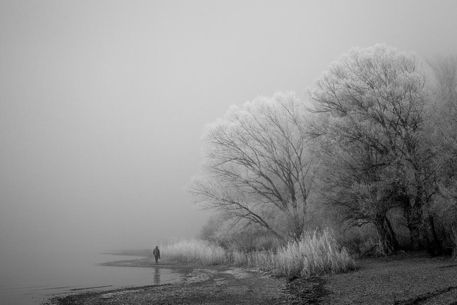 A Foggy Day At The Lake Photograph by Hans Peter Rank