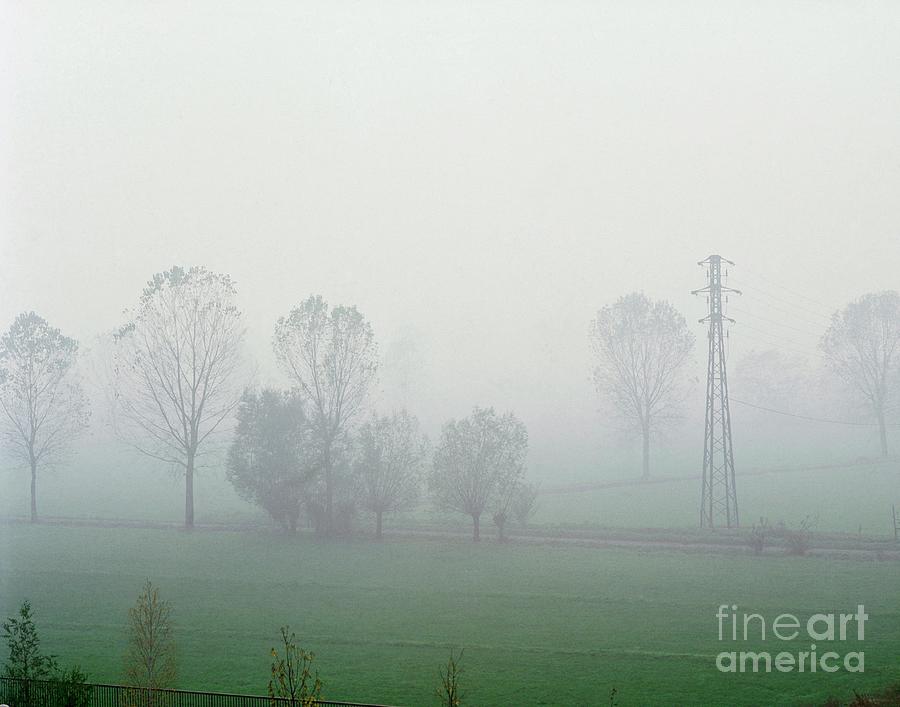 A Foggy Landscape Photograph by Tommaso Guicciardini/science Photo Library