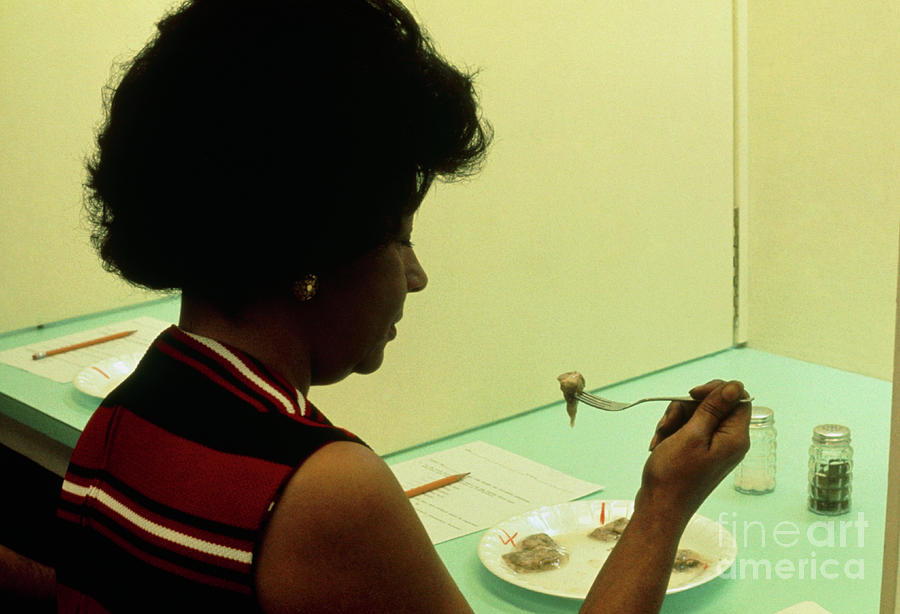 Food Industry Photograph - A Food Taster Tests Seafood For Quality by Food & Drug Administration/science Photo Library