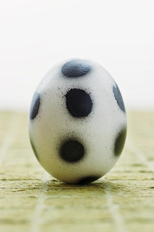 A football Egg  A White Egg Decorated With Black Spots Photograph by Petr Gross
