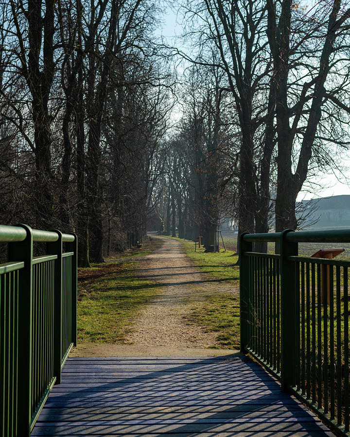 A Footpath Over A Small Green Bridge And Between Trees Photograph By