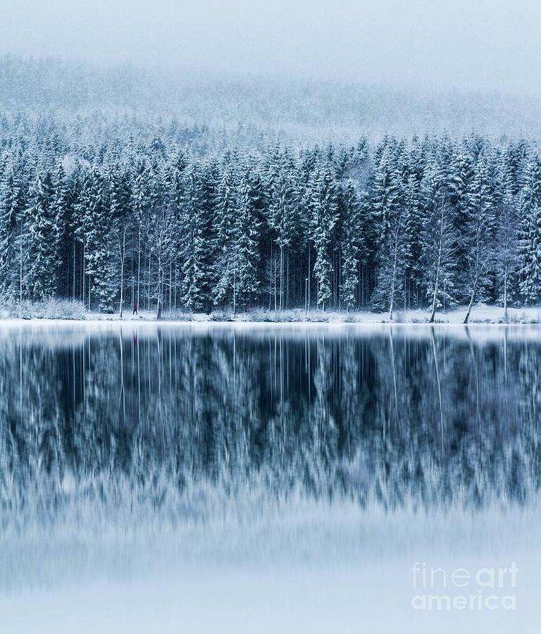A Forest By A Lake During Winter Photograph by Simon Decarpigny-barreau