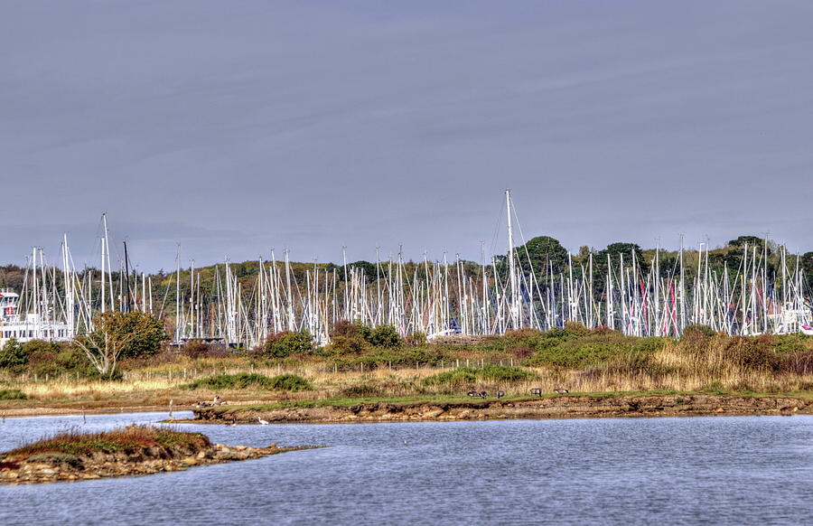 A Forest Of Masts Photograph by Jeff Townsend