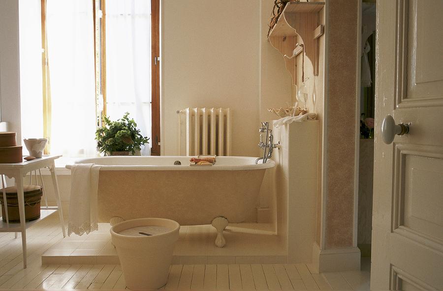 A Free-standing Bathtub Photograph by Bertrand Limbour