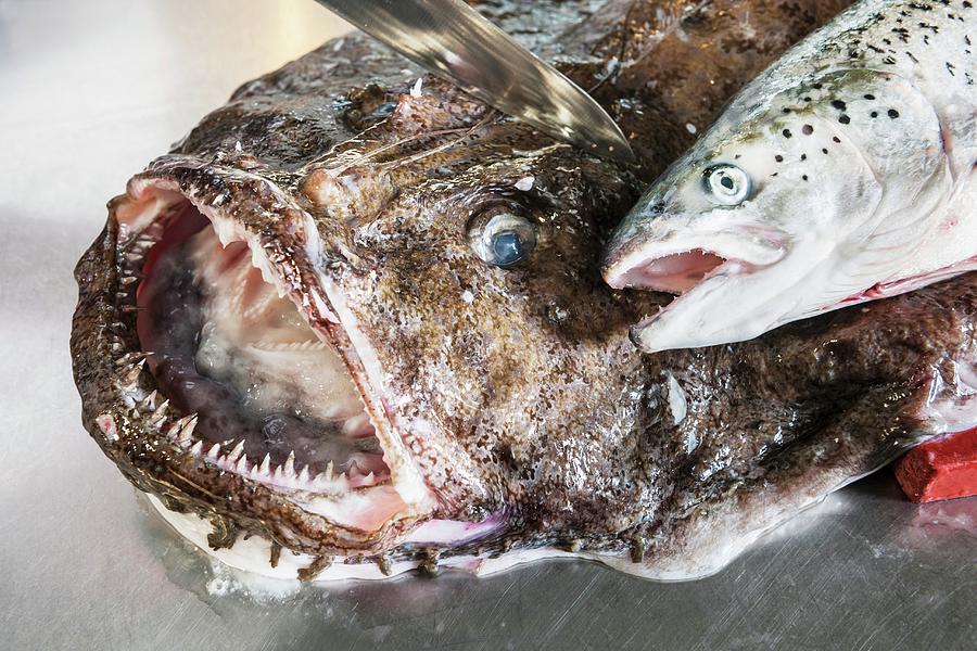 A Fresh Monk Fish And A Fresh Salmon Photograph by Foto4food