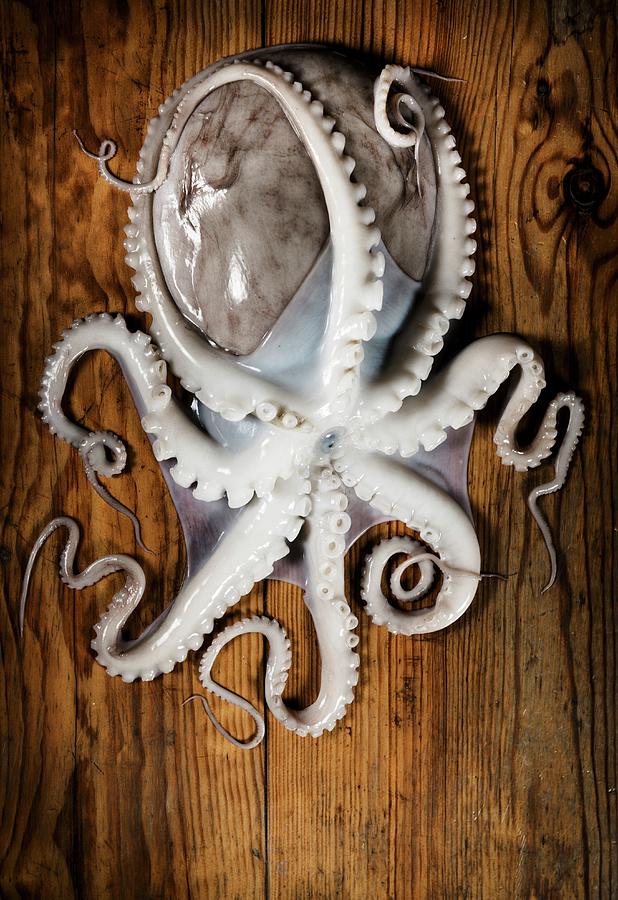 A Fresh Octopus On A Wooden Surface Photograph by Komar