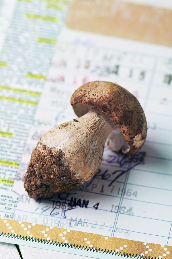 A Fresh Porcini Mushroom On A Newspaper Photograph by Miriam Rapado