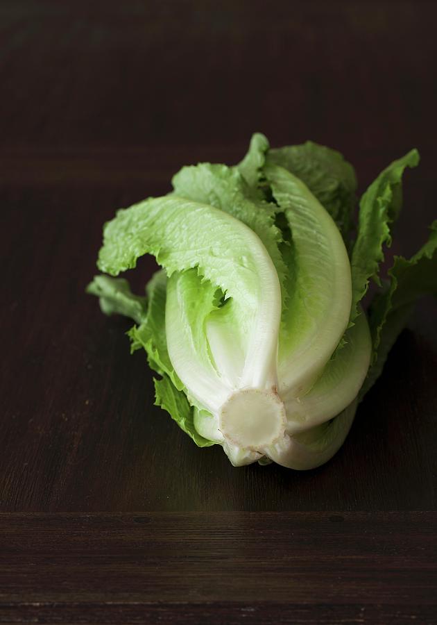A Fresh Romaine Lettuce Photograph by Yelena Strokin