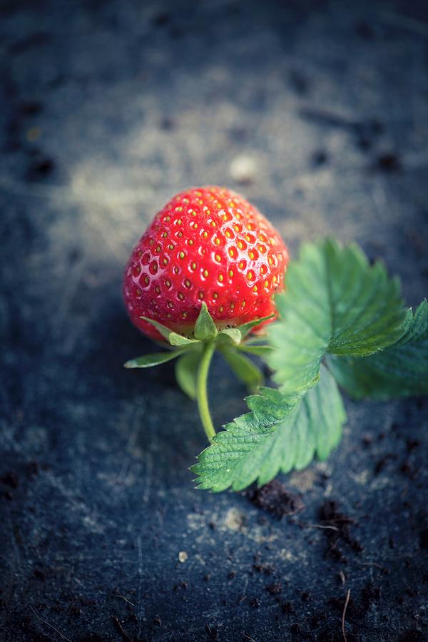A Fresh Strawberry With A Stem And Leaf Photograph by Eising Studio