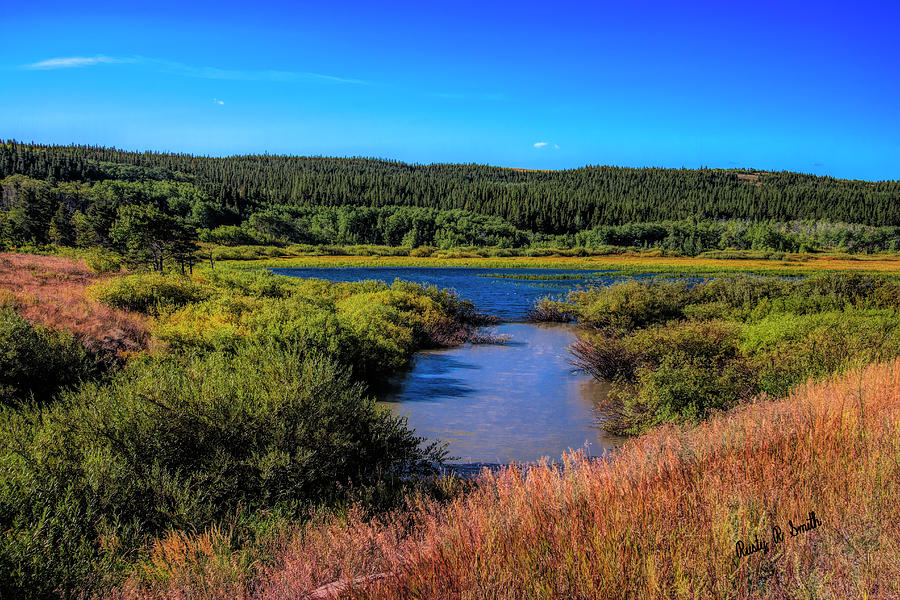 A fresh water marsh. by Rusty R Smith A fresh water marsh. by Rusty R Smith