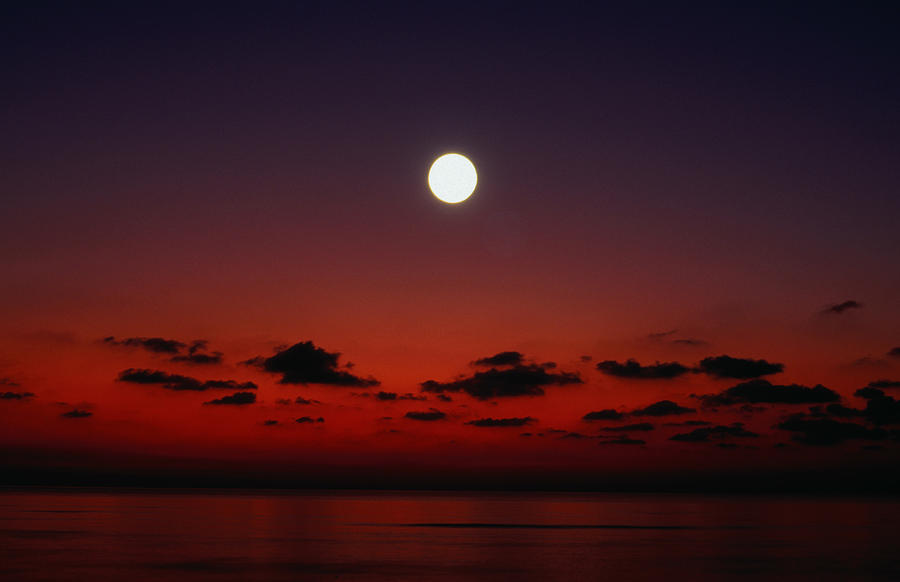 A Full Moon Rises High In A Red Sky Photograph by David C Tomlinson