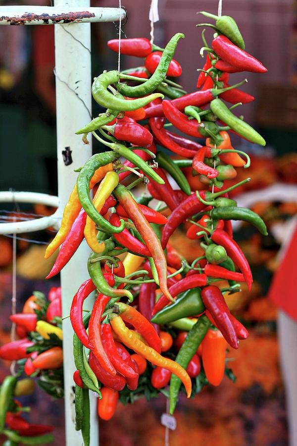 A Garland Of Colourful Chilli Peppers Photograph by Alexandra Panella
