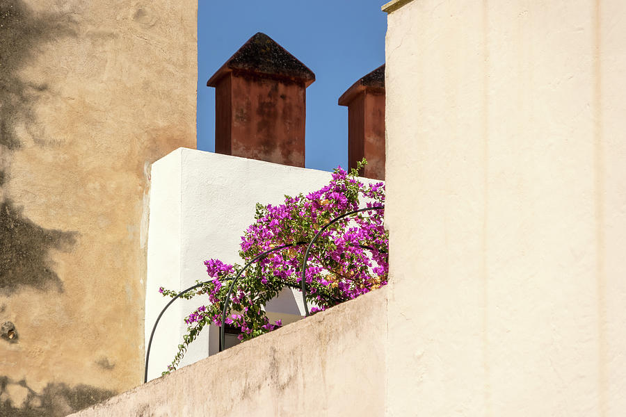 A Gem Over the Fence - Bougainvillea Blooming in a Secret Garden in Seville Andalusia Spain Photograph by Georgia Mizuleva