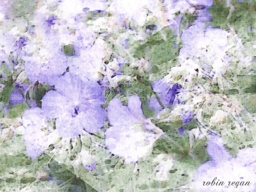 A Gentle Beauty by Robin Regan A Gentle Beauty by Robin Regan