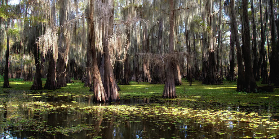 A Gentle Sway by Lana Trussell A Gentle Sway by Lana Trussell