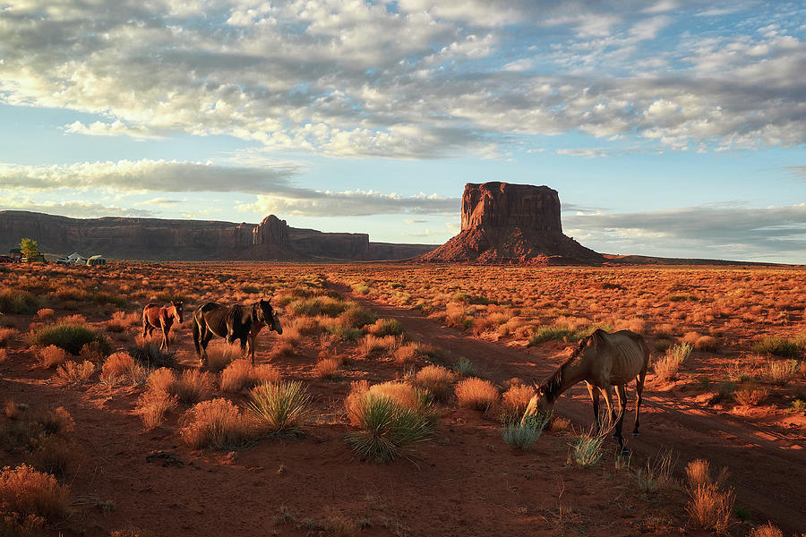 Views from Yonder: Outside Perspectives of the Wild West